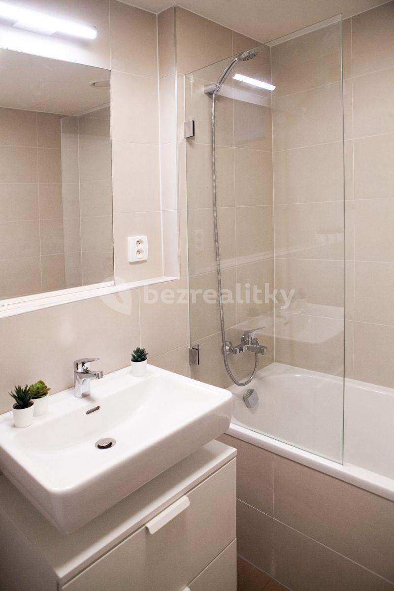 2 bedroom with open-plan kitchen flat to rent, 53 m², Hlaváčkova, Prague, Prague