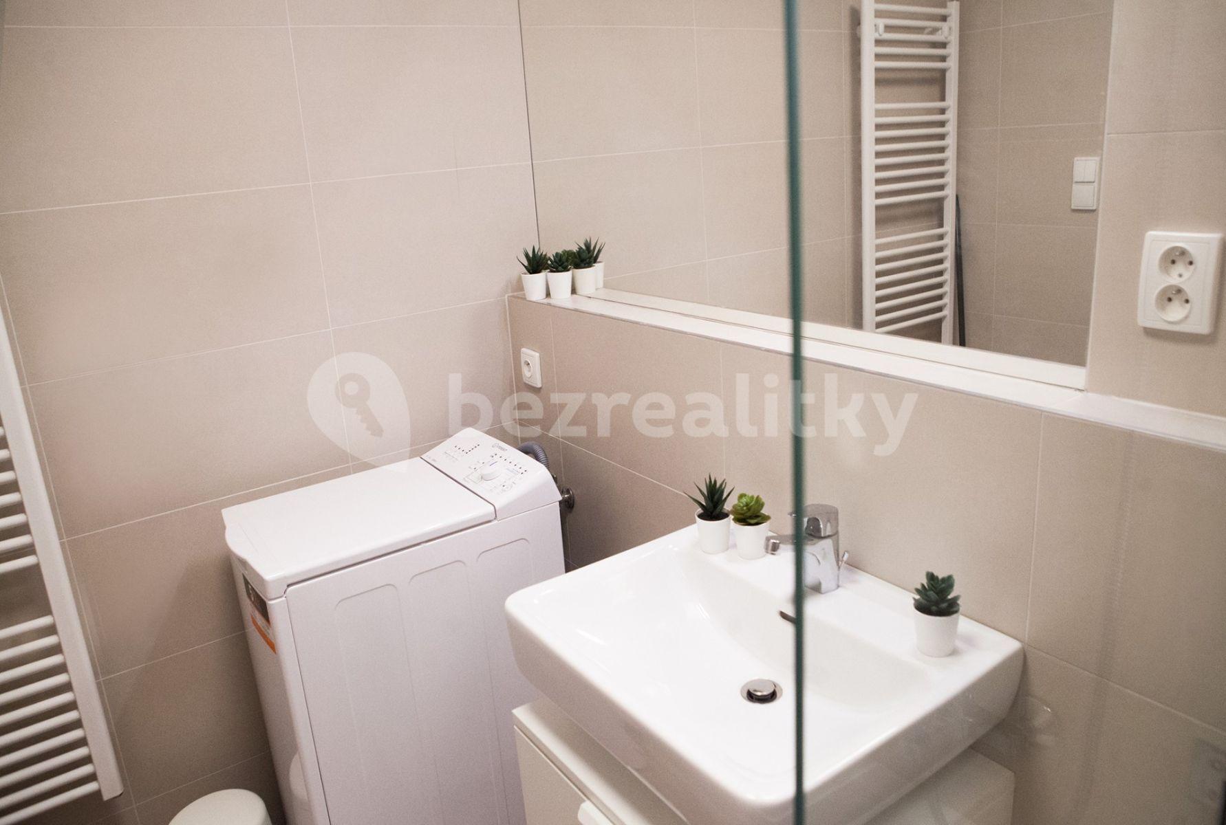 2 bedroom with open-plan kitchen flat to rent, 53 m², Hlaváčkova, Prague, Prague