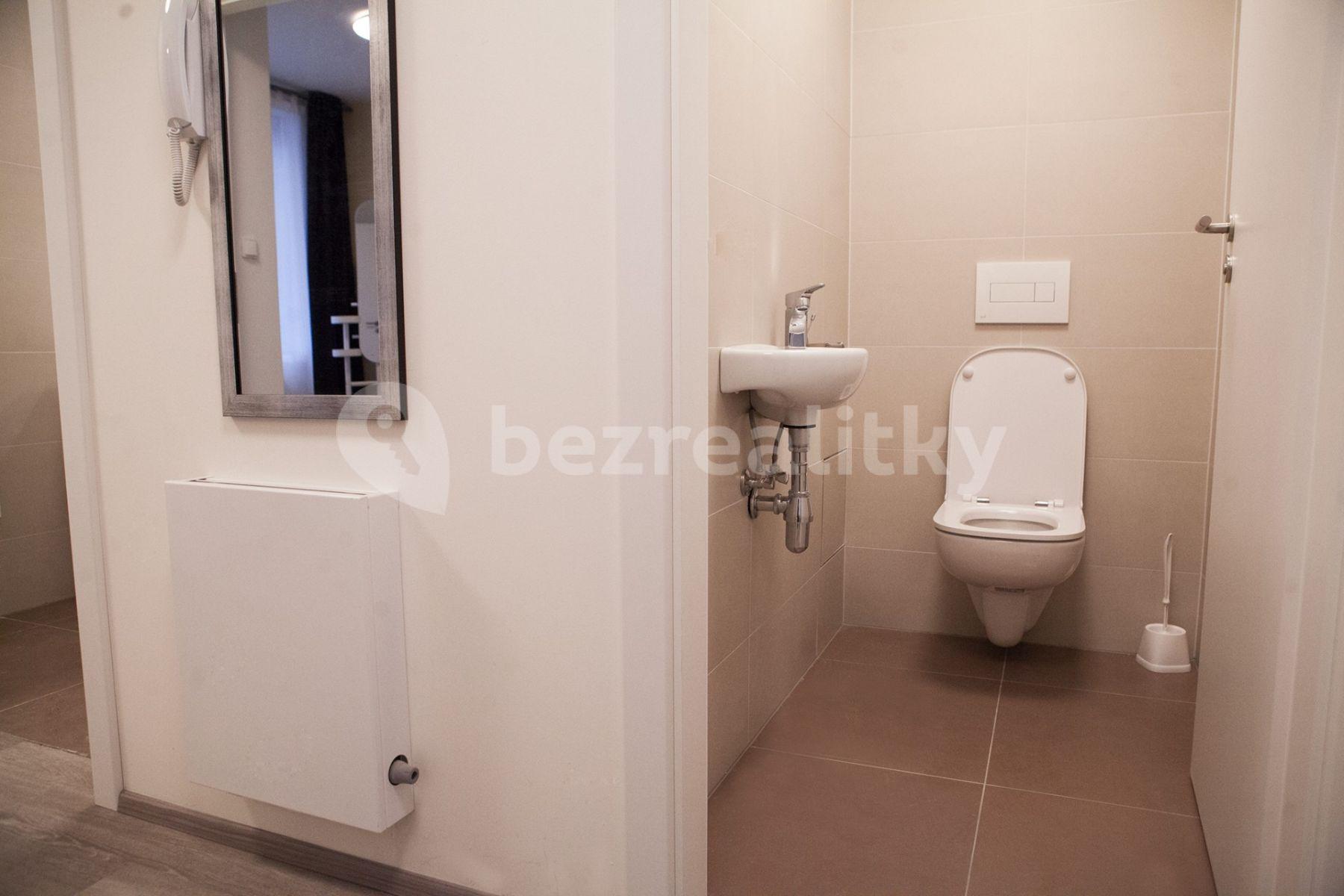 2 bedroom with open-plan kitchen flat to rent, 53 m², Hlaváčkova, Prague, Prague