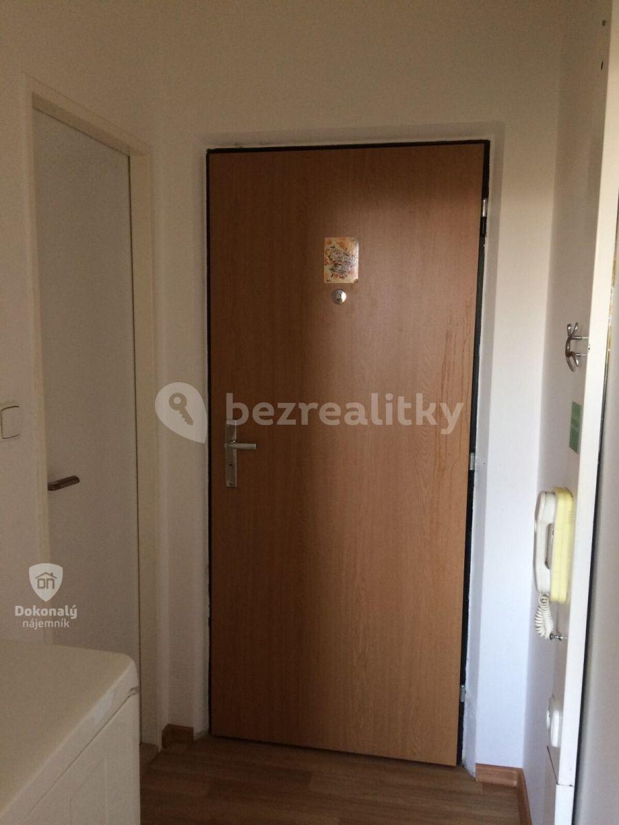 1 bedroom with open-plan kitchen flat to rent, 43 m², Zvolská, Prague, Prague