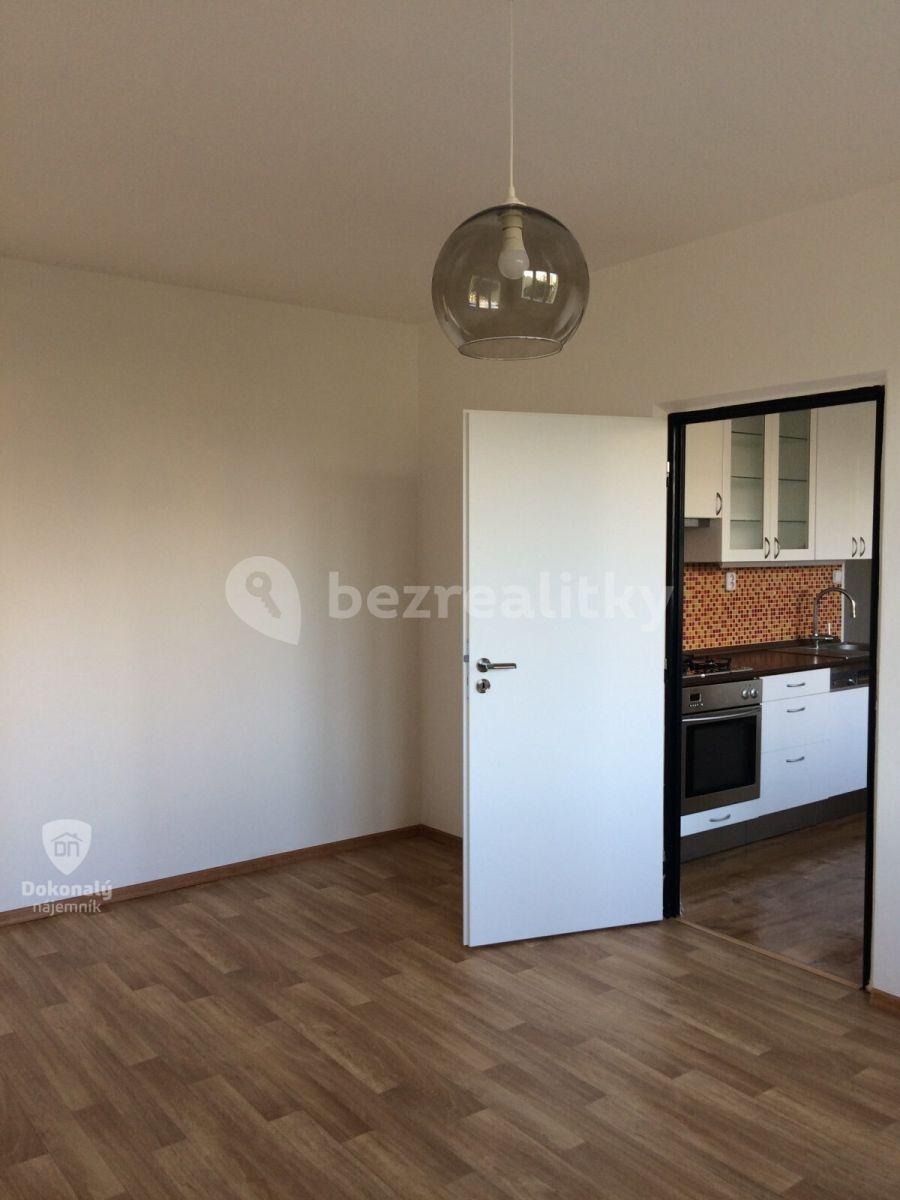 1 bedroom with open-plan kitchen flat to rent, 43 m², Zvolská, Prague, Prague