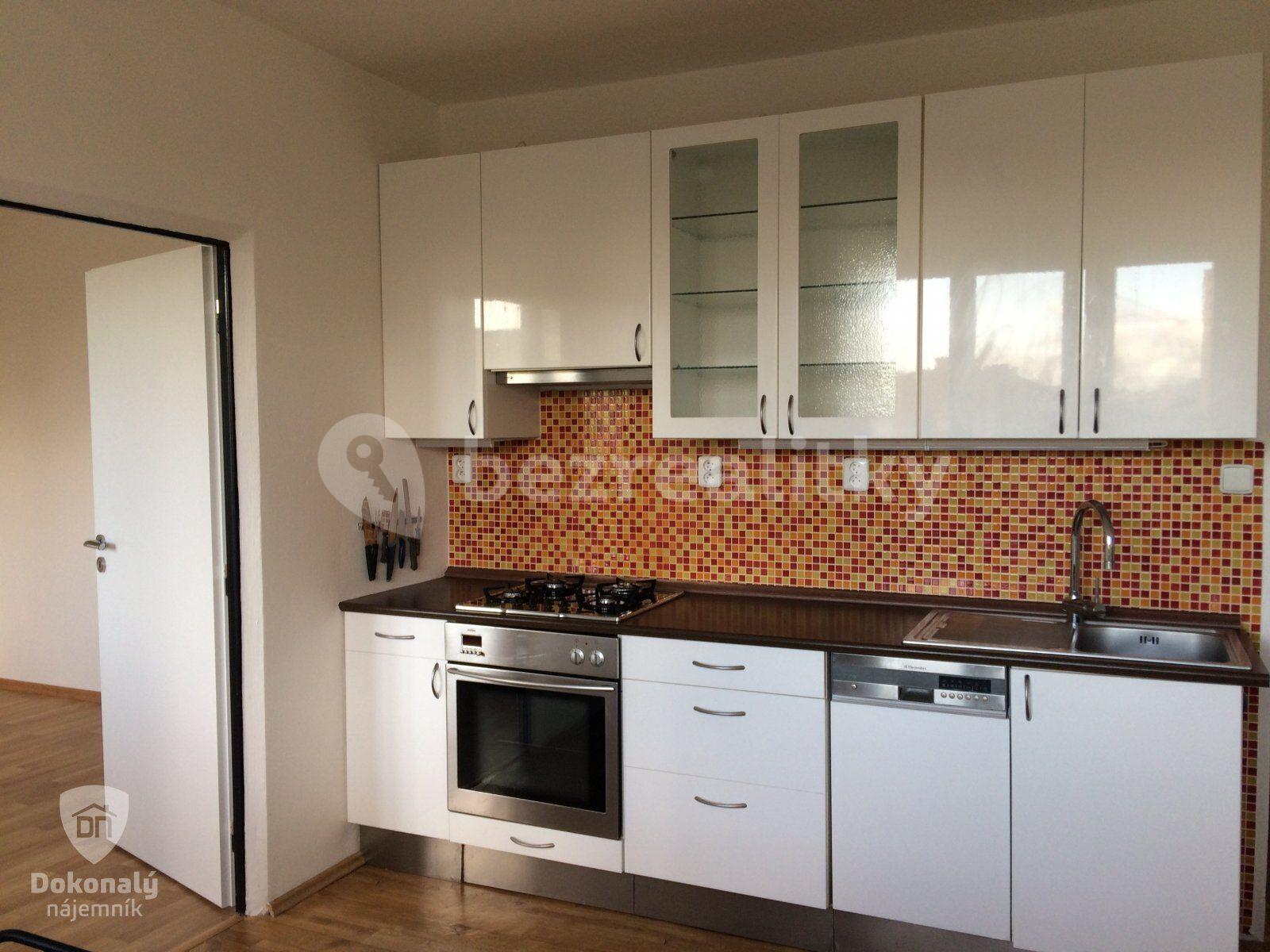 1 bedroom with open-plan kitchen flat to rent, 43 m², Zvolská, Prague, Prague