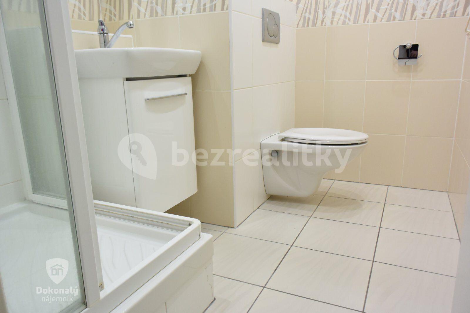 1 bedroom with open-plan kitchen flat to rent, 43 m², Zvolská, Prague, Prague