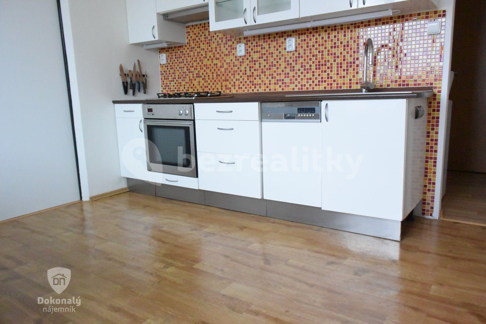 1 bedroom with open-plan kitchen flat to rent, 43 m², Zvolská, Prague, Prague