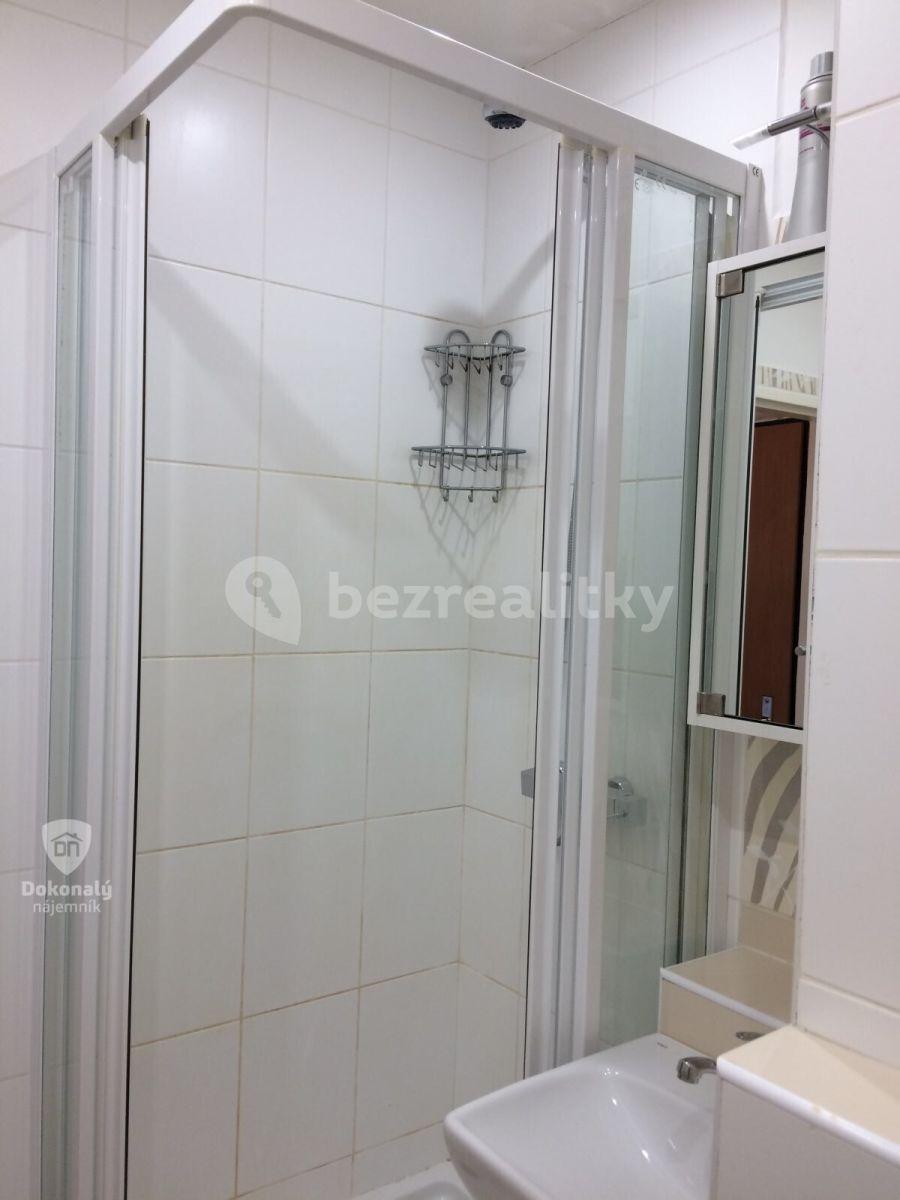 1 bedroom with open-plan kitchen flat to rent, 43 m², Zvolská, Prague, Prague