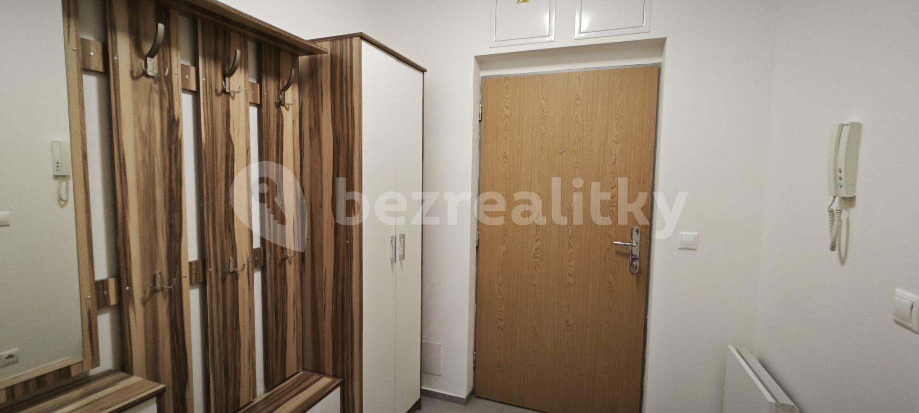 1 bedroom with open-plan kitchen flat to rent, 58 m², Klatovská, Brno, Jihomoravský Region