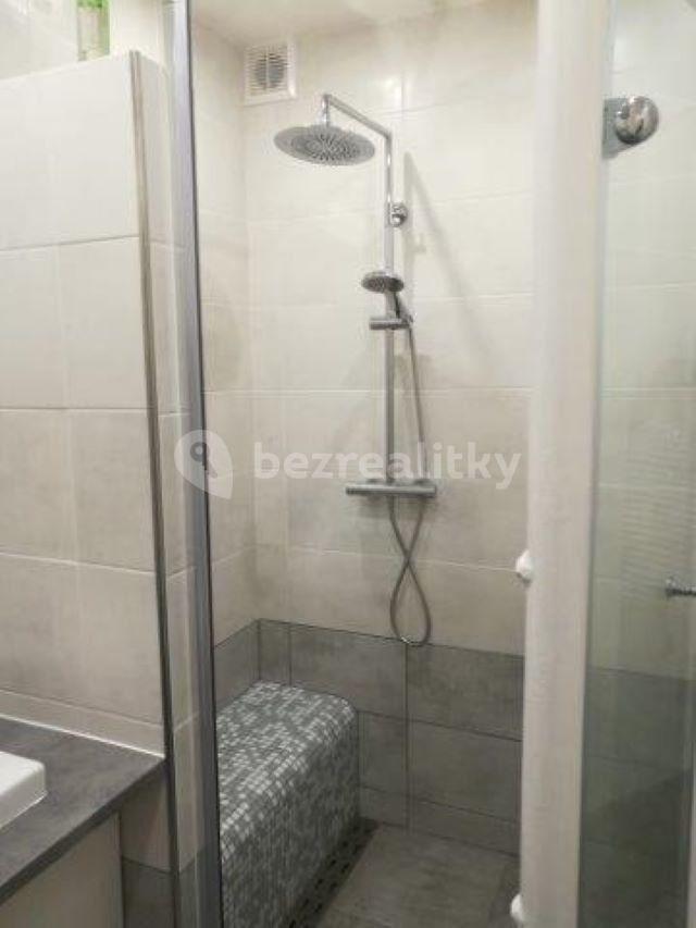 2 bedroom with open-plan kitchen flat to rent, 65 m², Družstevní, Pardubice, Pardubický Region