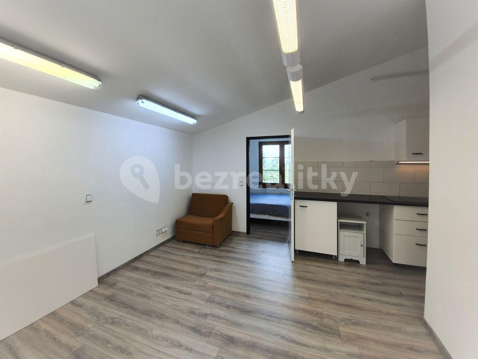 1 bedroom with open-plan kitchen flat to rent, 34 m², Miličín, Středočeský Region