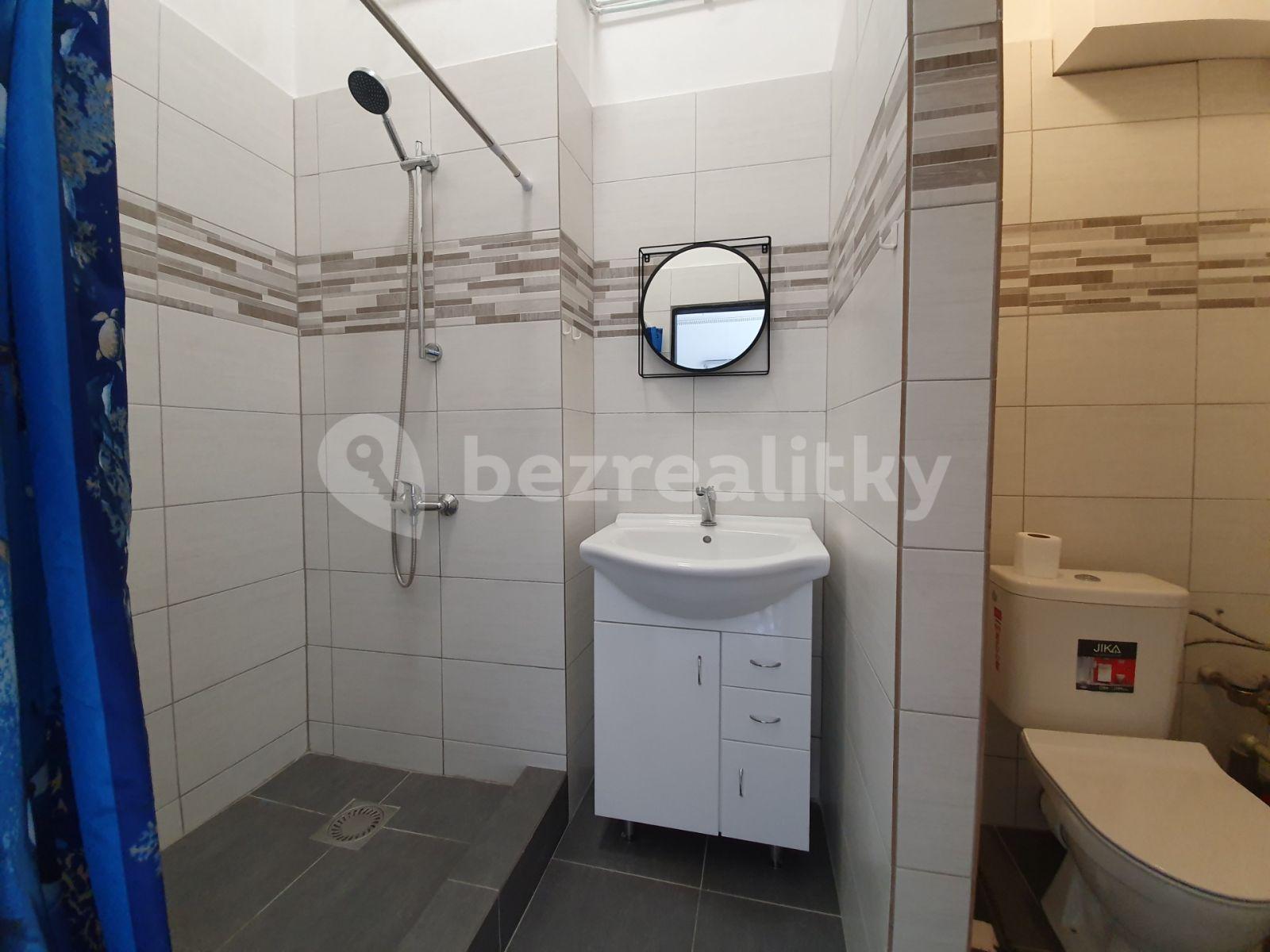 1 bedroom with open-plan kitchen flat to rent, 34 m², Miličín, Středočeský Region