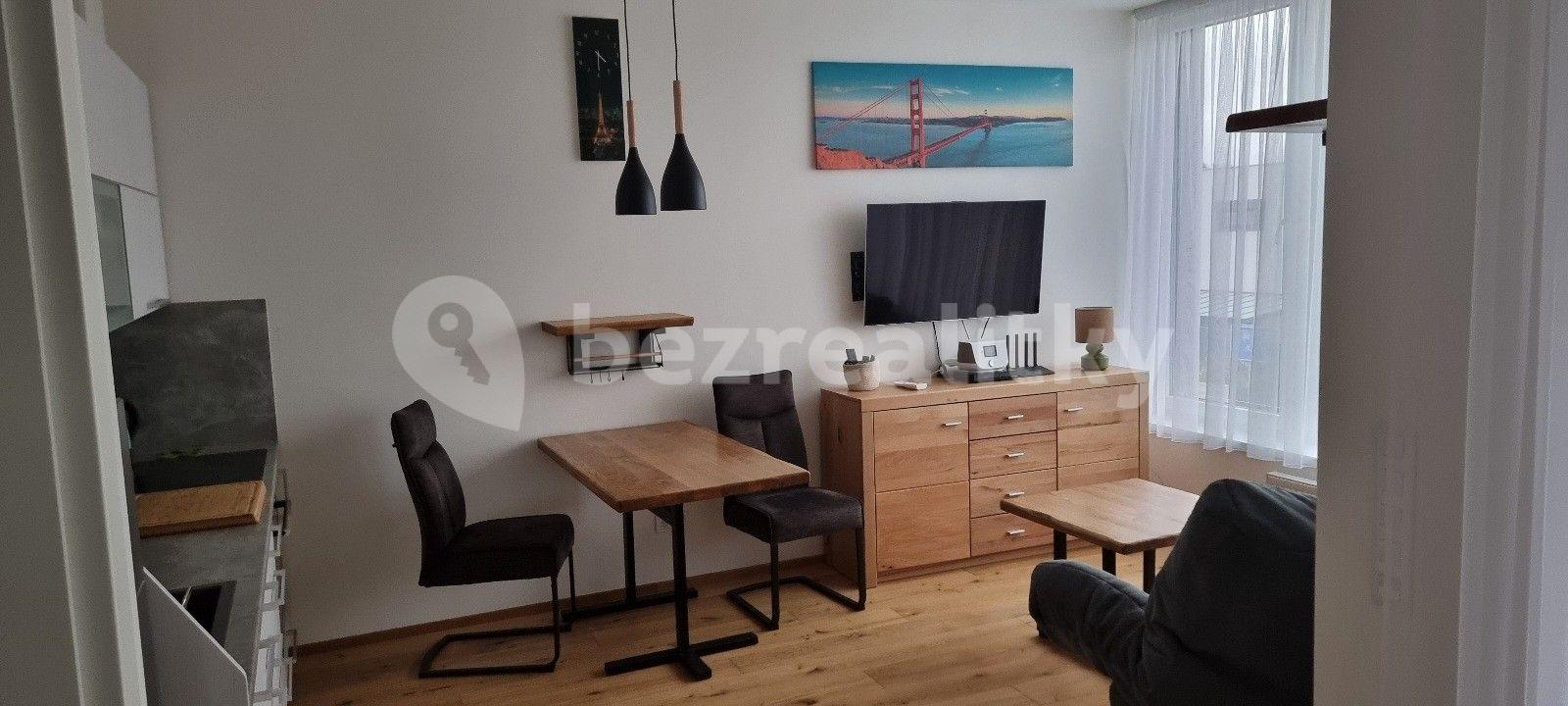 Studio flat to rent, 38 m², Kostelecká, Prague, Prague