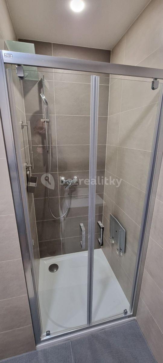 Studio flat to rent, 38 m², Kostelecká, Prague, Prague