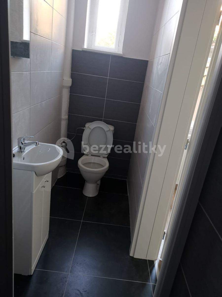 1 bedroom with open-plan kitchen flat to rent, 52 m², 17. listopadu, Mělník, Středočeský Region