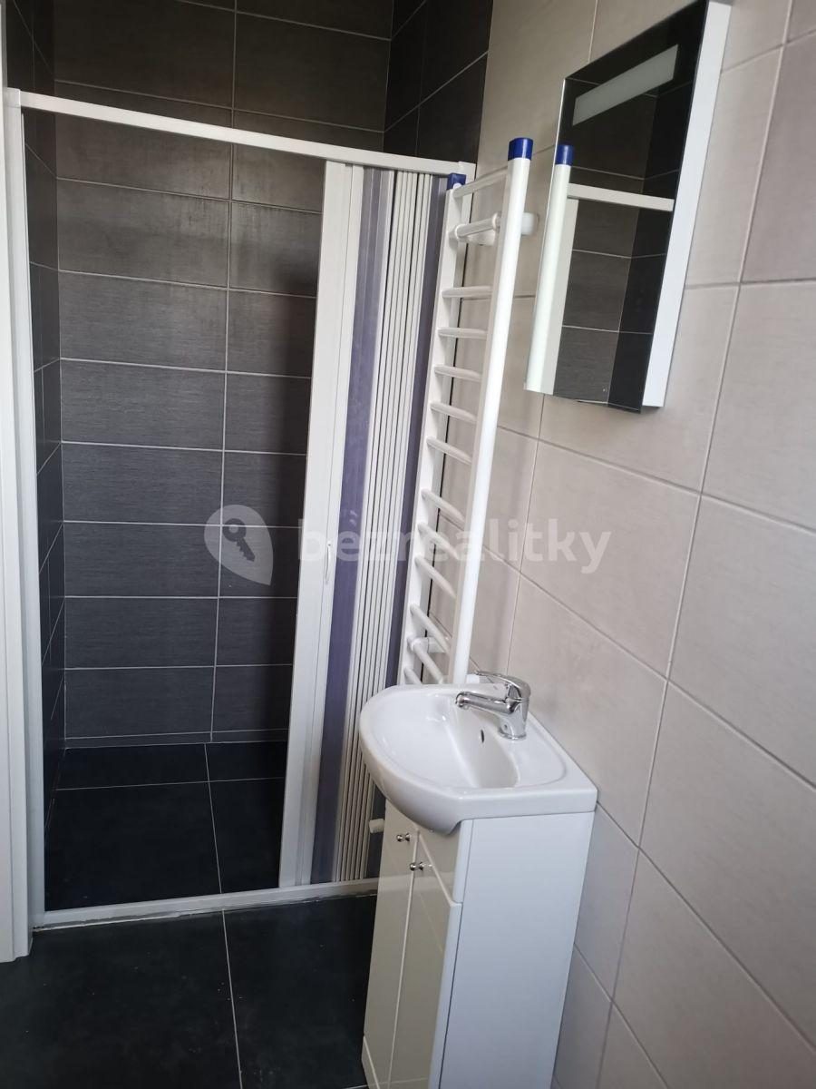 1 bedroom with open-plan kitchen flat to rent, 52 m², 17. listopadu, Mělník, Středočeský Region