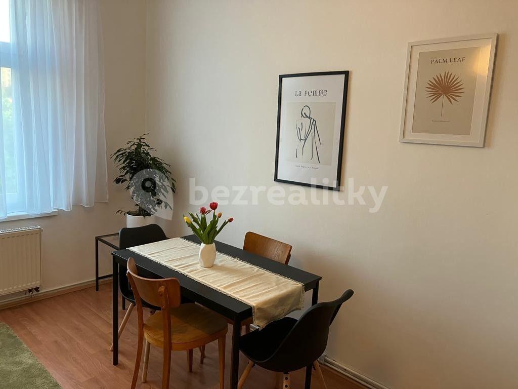 1 bedroom with open-plan kitchen flat to rent, 50 m², Na Folimance, Prague, Prague