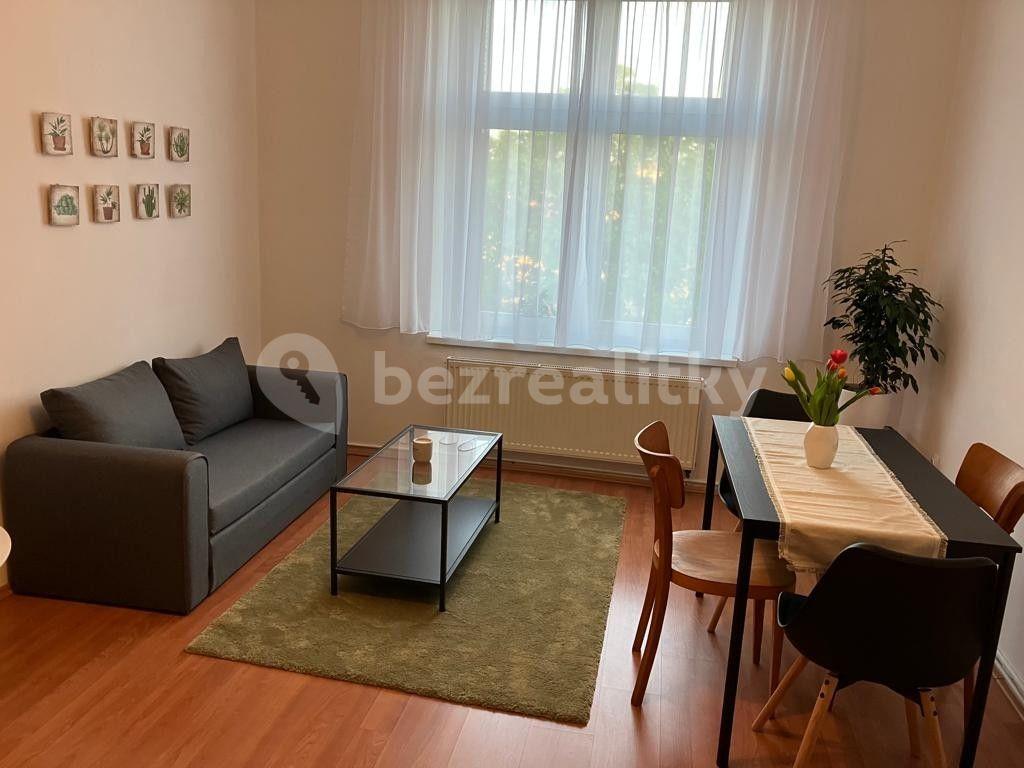 1 bedroom with open-plan kitchen flat to rent, 50 m², Na Folimance, Prague, Prague