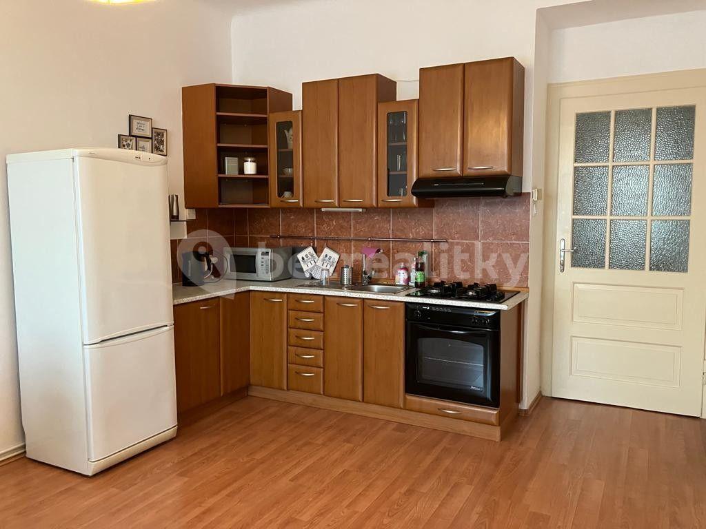 1 bedroom with open-plan kitchen flat to rent, 50 m², Na Folimance, Prague, Prague