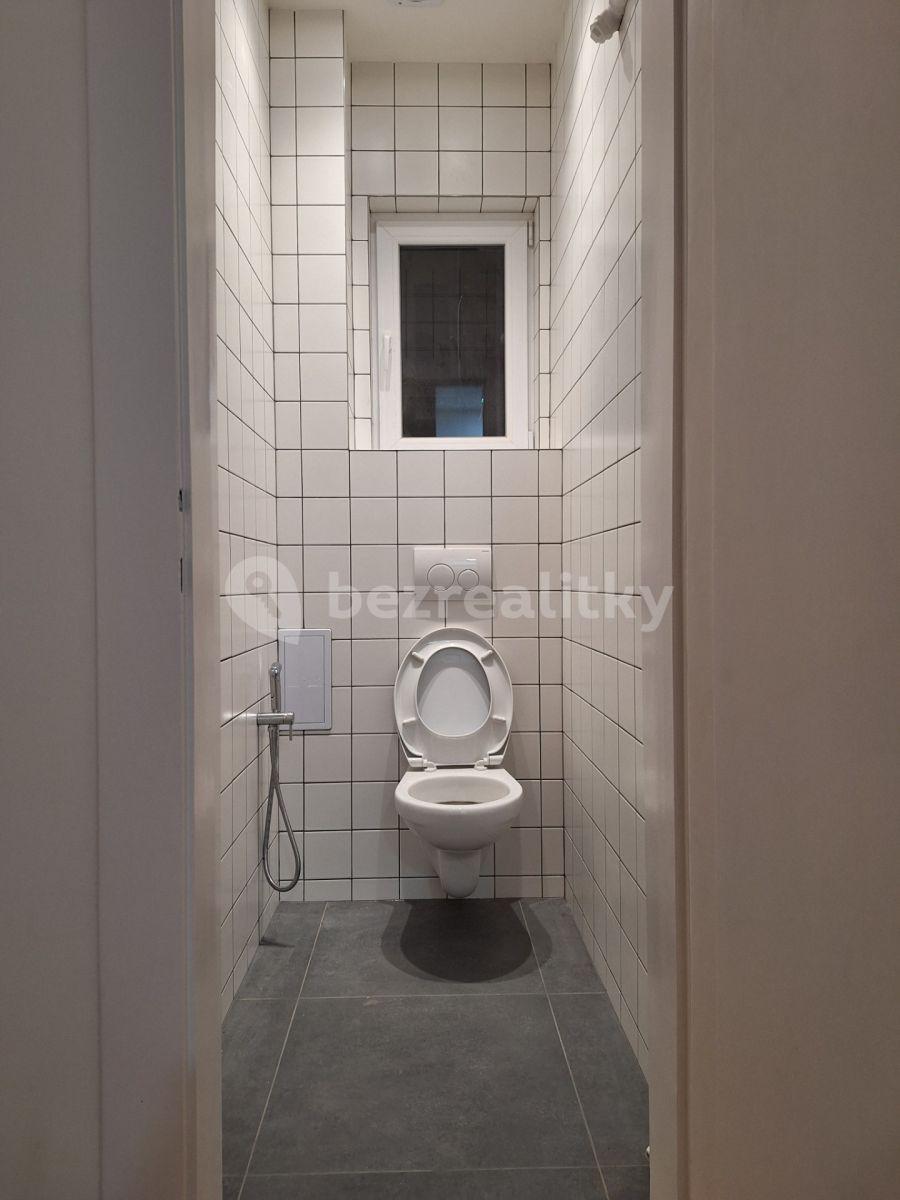 3 bedroom with open-plan kitchen flat to rent, 96 m², Sezimova, Prague, Prague