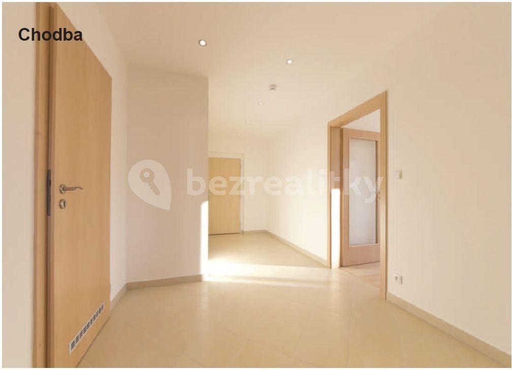 1 bedroom with open-plan kitchen flat to rent, 71 m², Sazovická, Prague, Prague