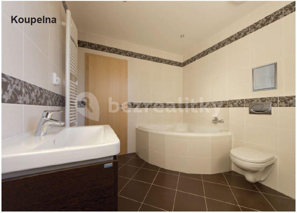 1 bedroom with open-plan kitchen flat to rent, 71 m², Sazovická, Prague, Prague