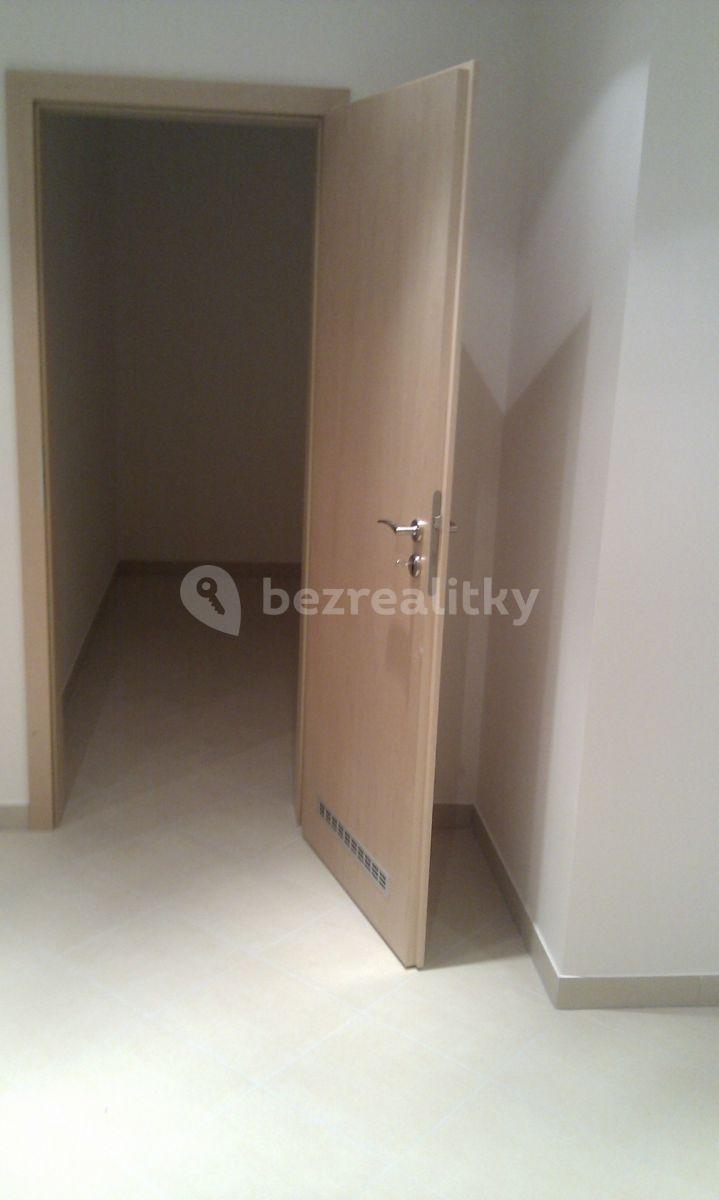 1 bedroom with open-plan kitchen flat to rent, 71 m², Sazovická, Prague, Prague