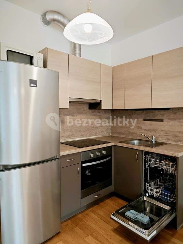 1 bedroom with open-plan kitchen flat to rent, 45 m², U Svobodárny, Prague, Prague