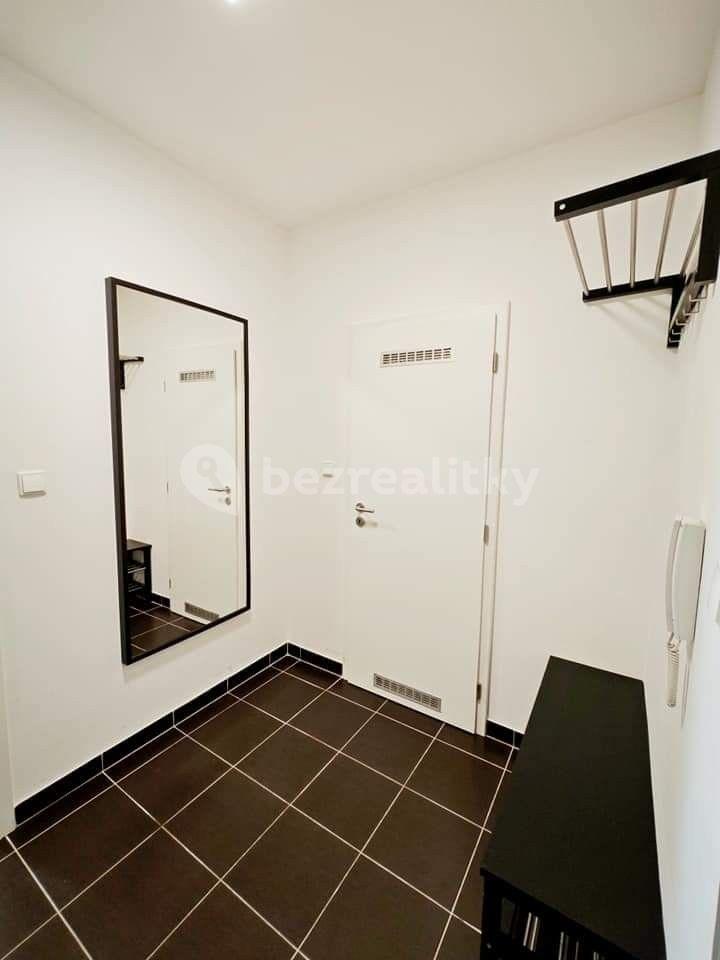 1 bedroom with open-plan kitchen flat to rent, 45 m², U Svobodárny, Prague, Prague