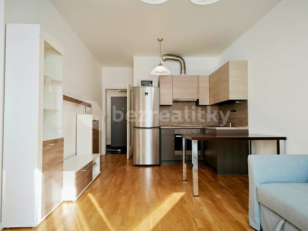 1 bedroom with open-plan kitchen flat to rent, 45 m², U Svobodárny, Prague, Prague