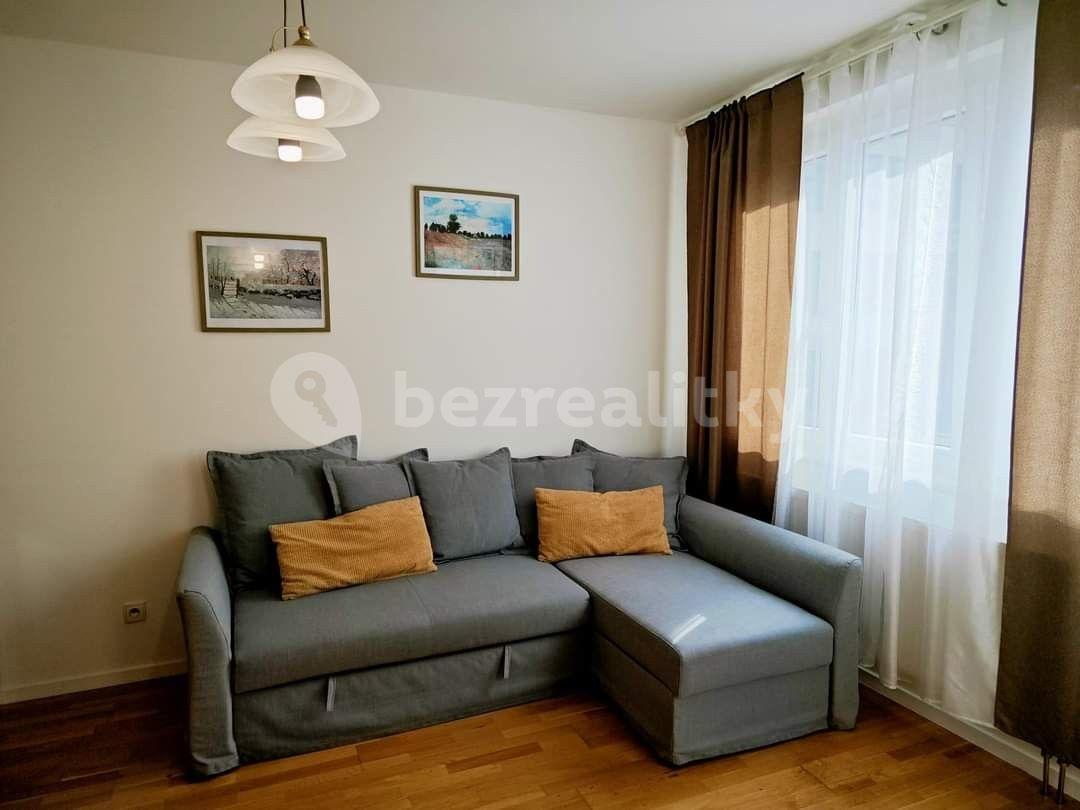 1 bedroom with open-plan kitchen flat to rent, 45 m², U Svobodárny, Prague, Prague