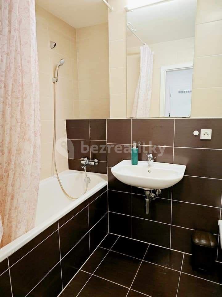 1 bedroom with open-plan kitchen flat to rent, 45 m², U Svobodárny, Prague, Prague