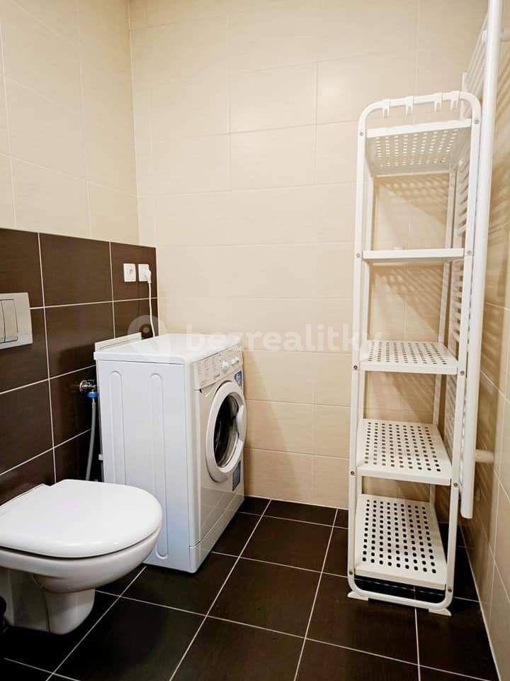 1 bedroom with open-plan kitchen flat to rent, 45 m², U Svobodárny, Prague, Prague