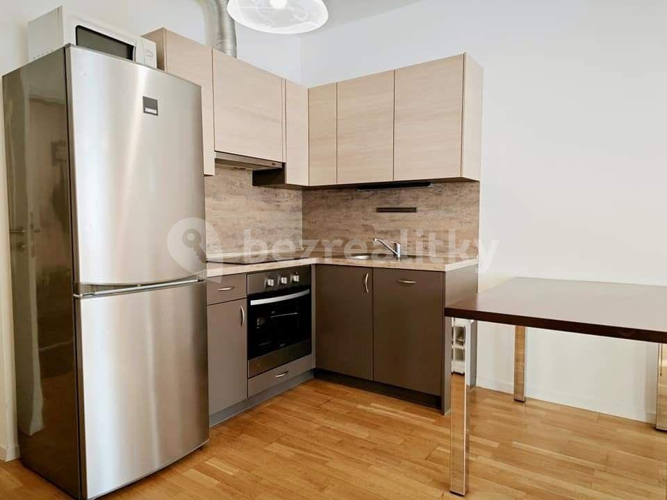 1 bedroom with open-plan kitchen flat to rent, 45 m², U Svobodárny, Prague, Prague