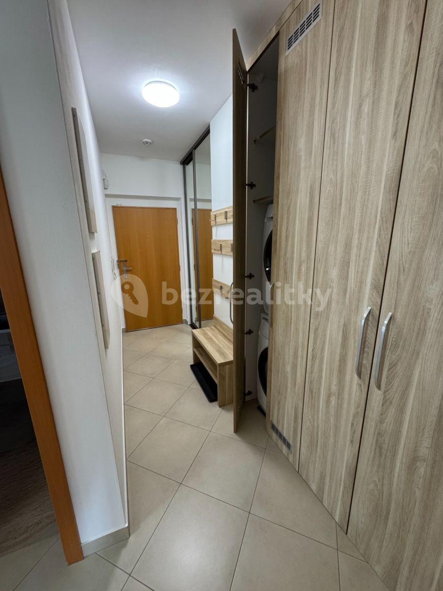 3 bedroom with open-plan kitchen flat to rent, 90 m², Sazovická, Prague, Prague