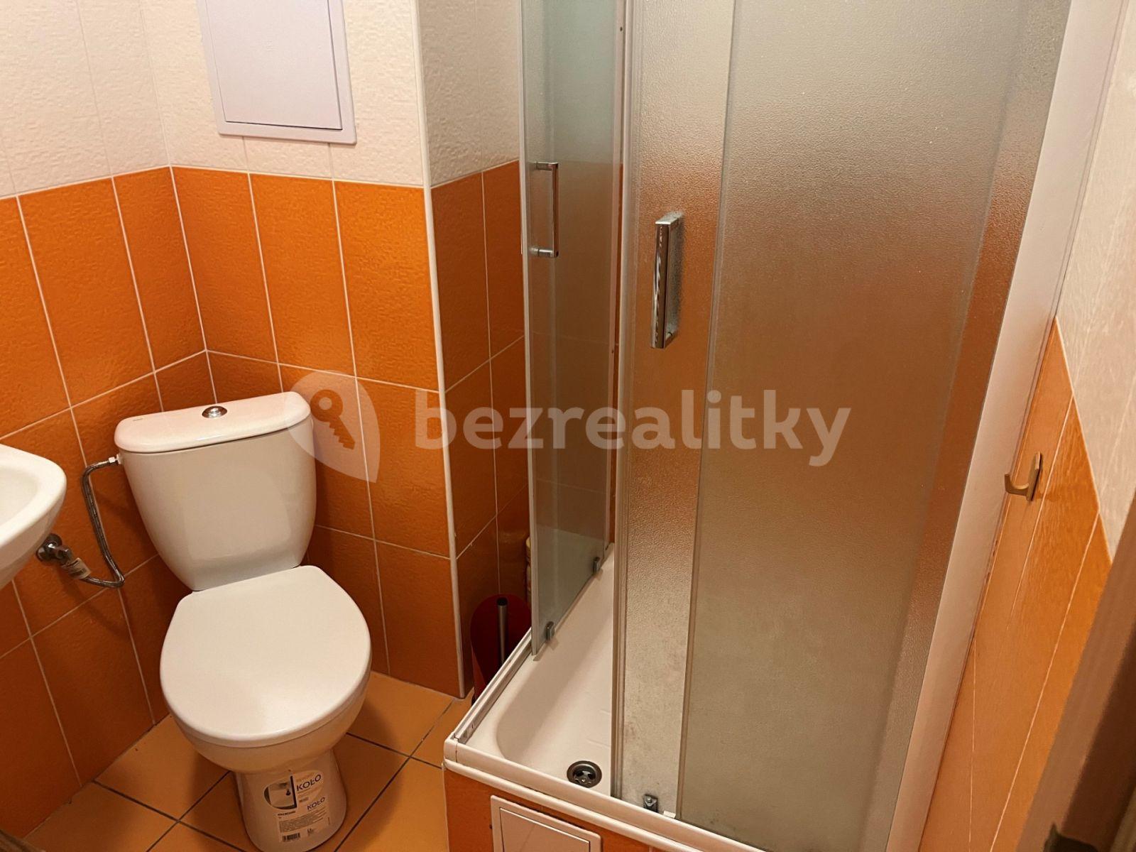 1 bedroom with open-plan kitchen flat to rent, 58 m², Komenského, Šestajovice, Středočeský Region