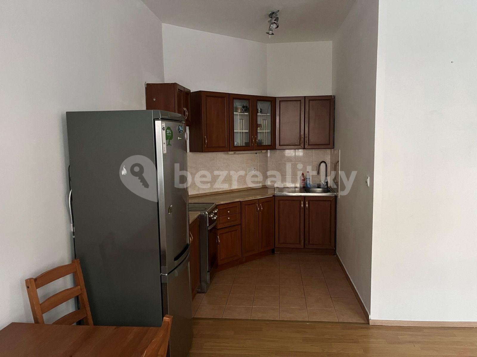 1 bedroom with open-plan kitchen flat to rent, 58 m², Komenského, Šestajovice, Středočeský Region