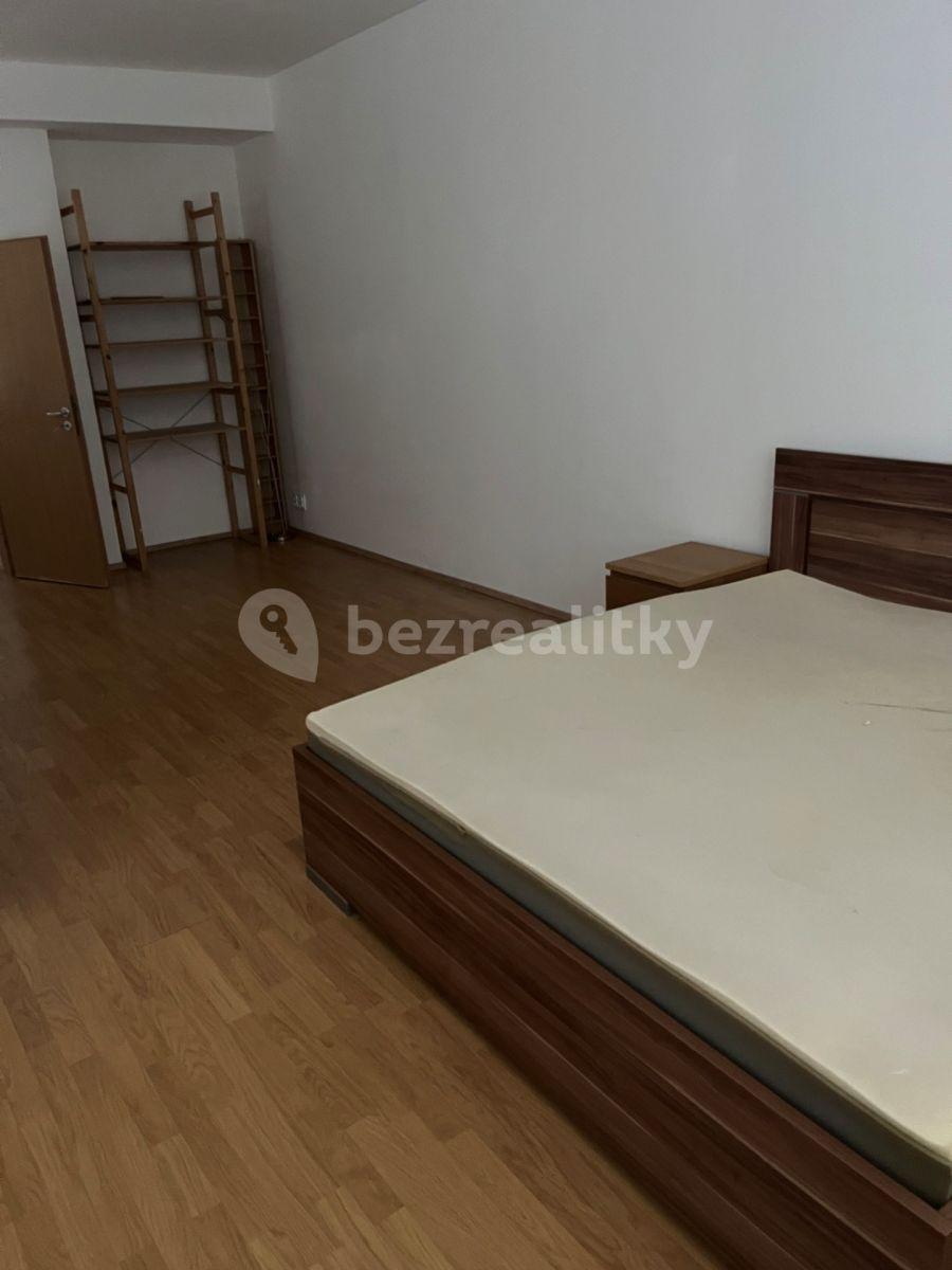 1 bedroom with open-plan kitchen flat to rent, 58 m², Komenského, Šestajovice, Středočeský Region