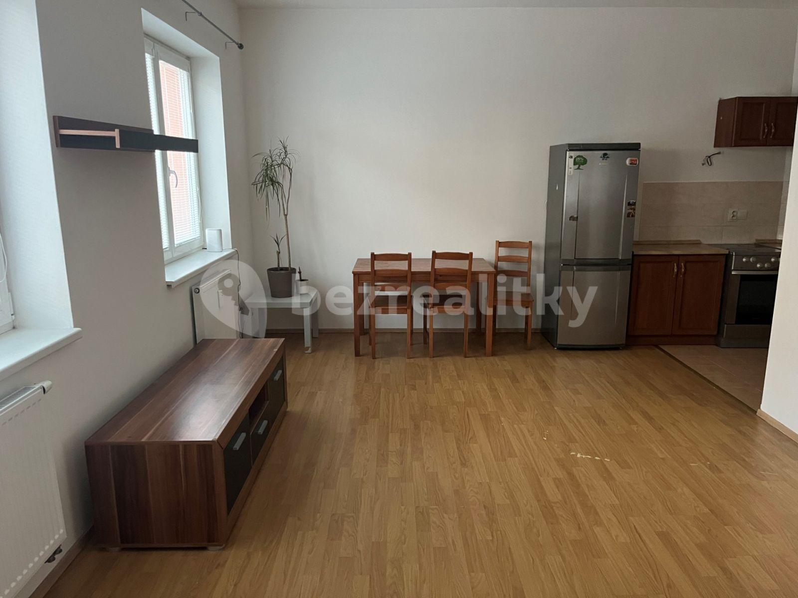 1 bedroom with open-plan kitchen flat to rent, 58 m², Komenského, Šestajovice, Středočeský Region