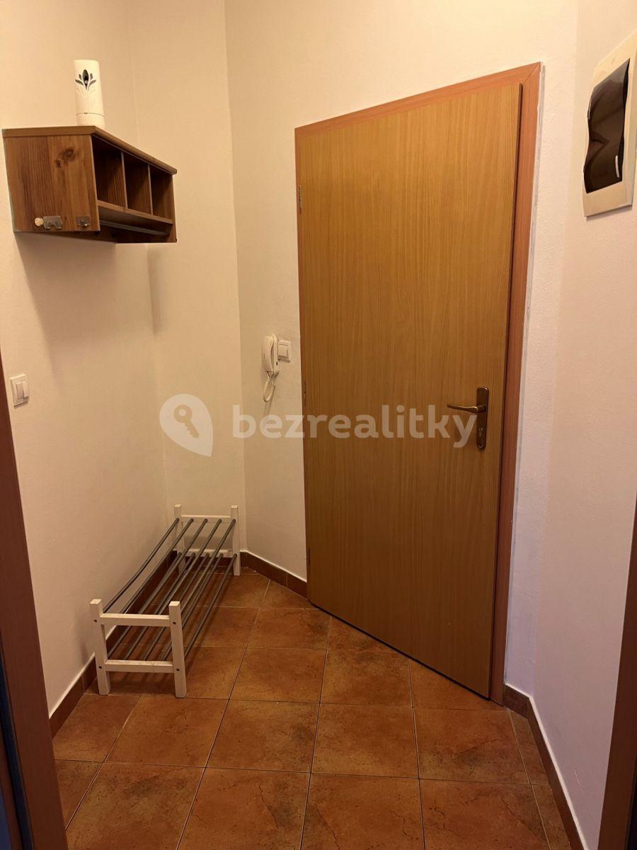 1 bedroom with open-plan kitchen flat to rent, 58 m², Komenského, Šestajovice, Středočeský Region