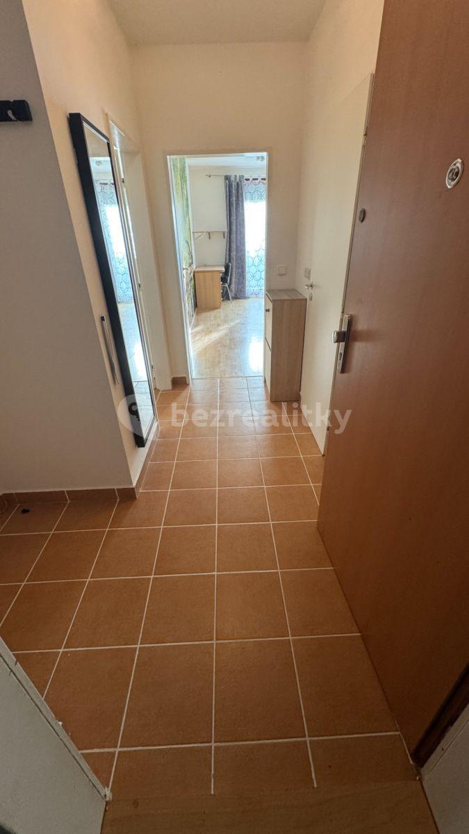 1 bedroom with open-plan kitchen flat to rent, 52 m², B. Němcové, Hostivice, Středočeský Region