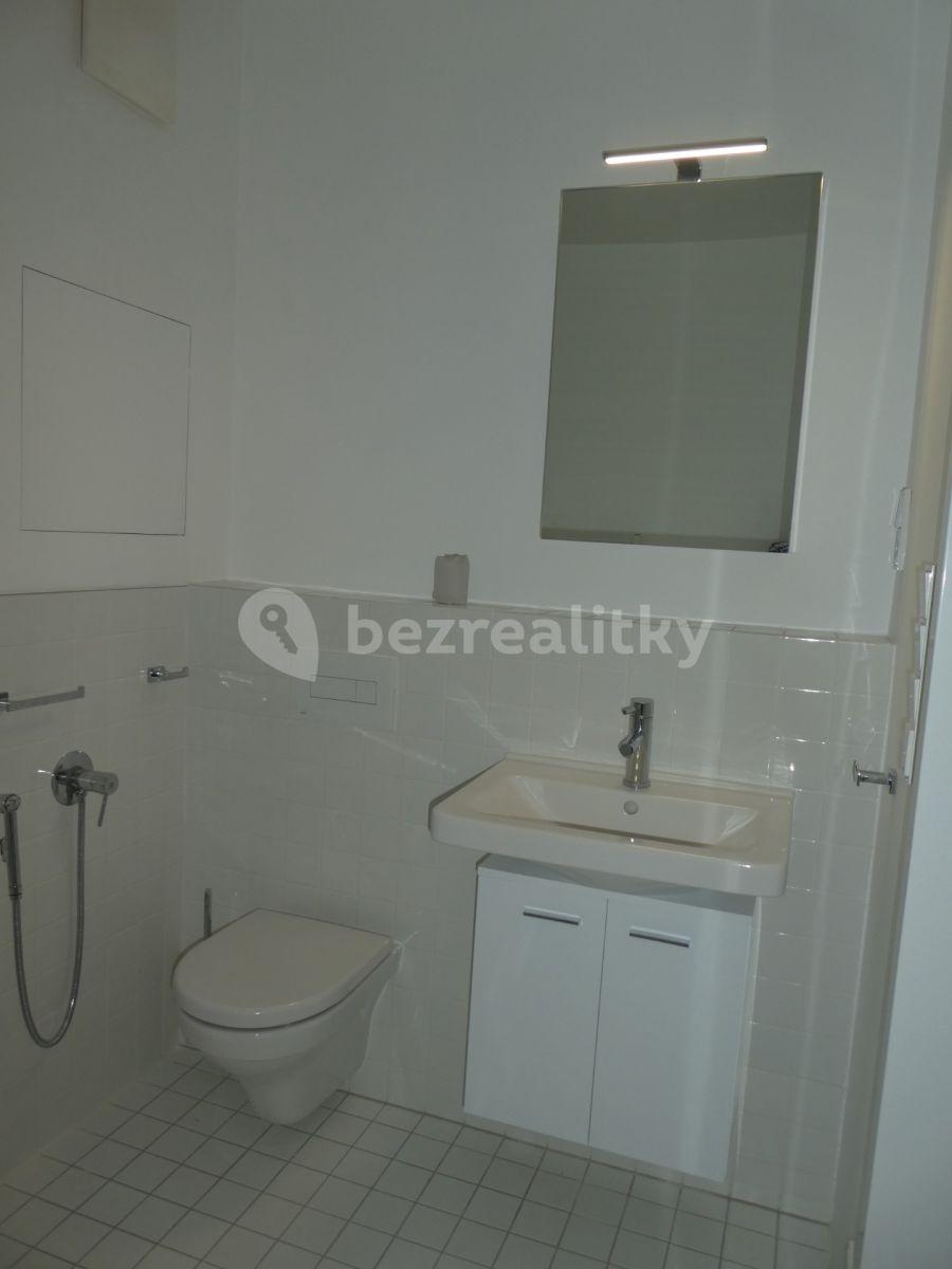 1 bedroom with open-plan kitchen flat to rent, 64 m², Pod Lipami, Řevnice, Středočeský Region