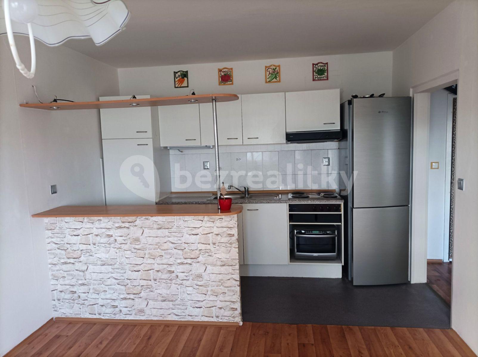 1 bedroom with open-plan kitchen flat to rent, 42 m², Štúrova, Prague, Prague