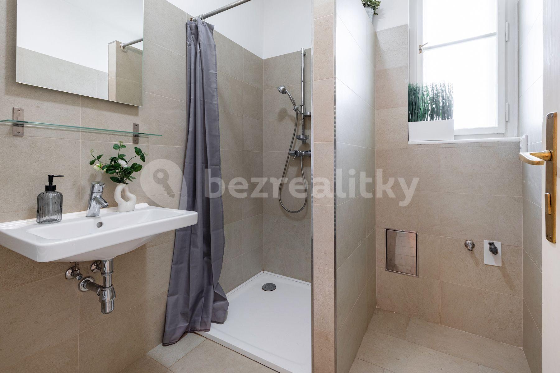 1 bedroom with open-plan kitchen flat for sale, 57 m², Hájkova, Prague, Prague