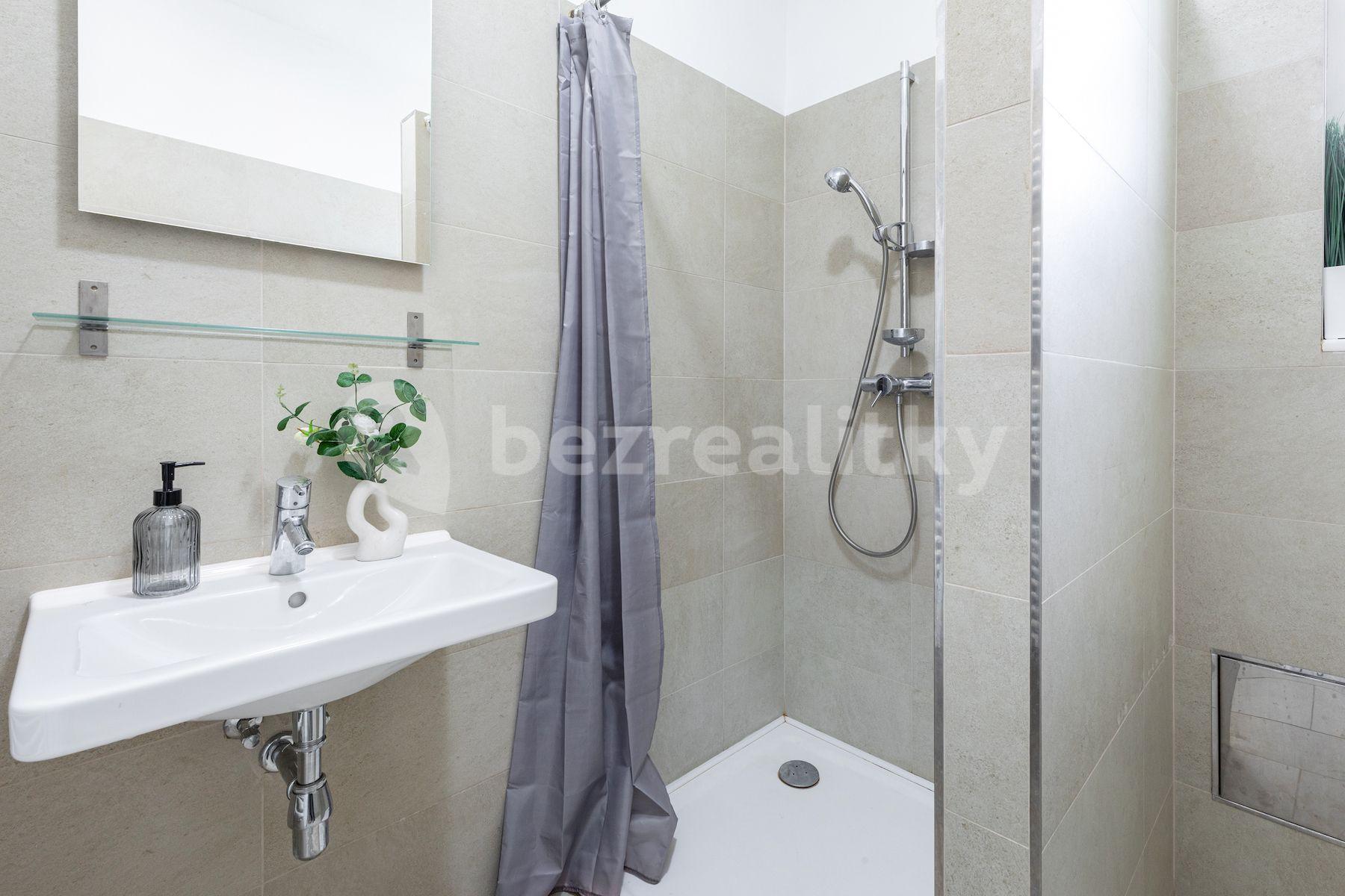 1 bedroom with open-plan kitchen flat for sale, 57 m², Hájkova, Prague, Prague