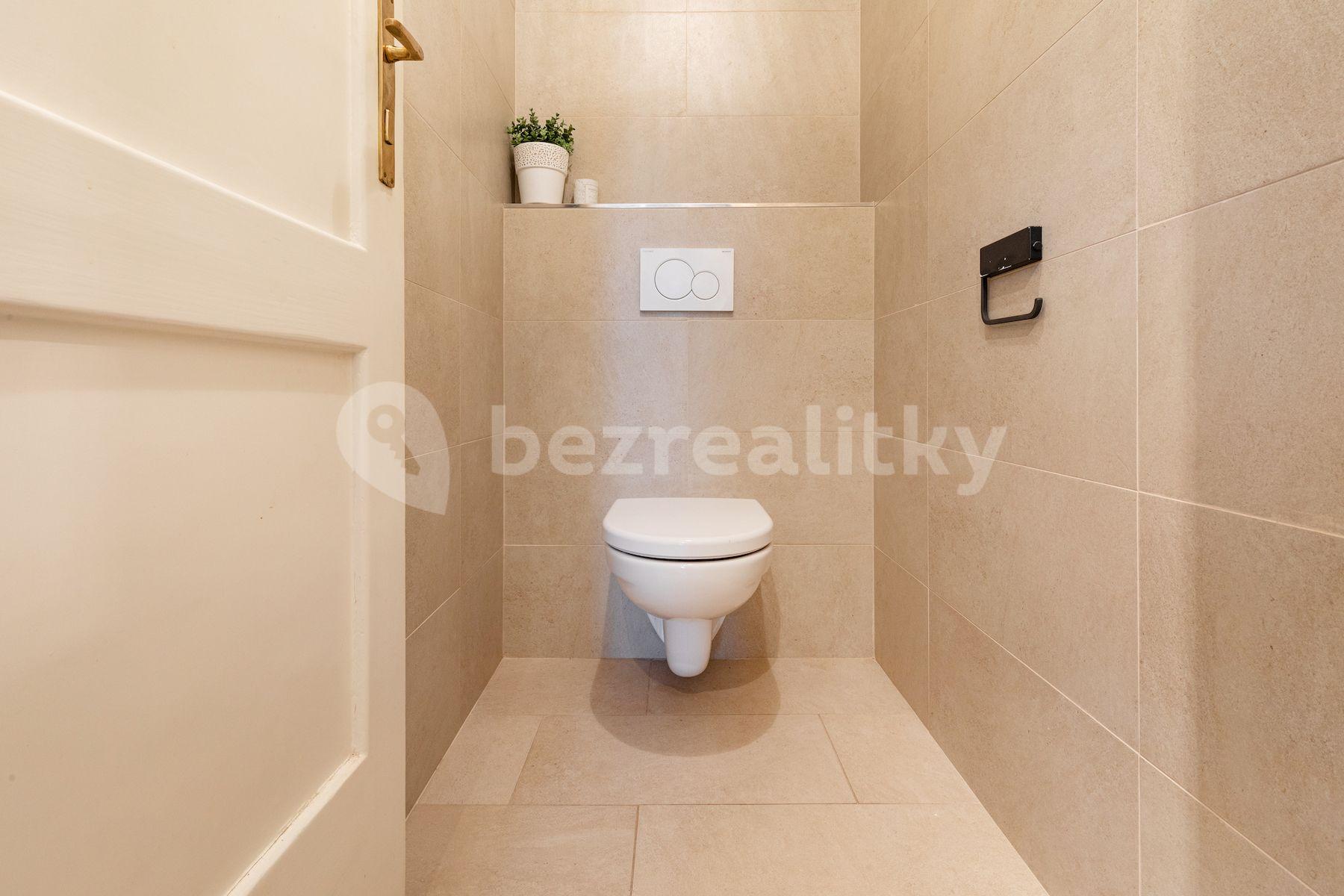 1 bedroom with open-plan kitchen flat for sale, 57 m², Hájkova, Prague, Prague