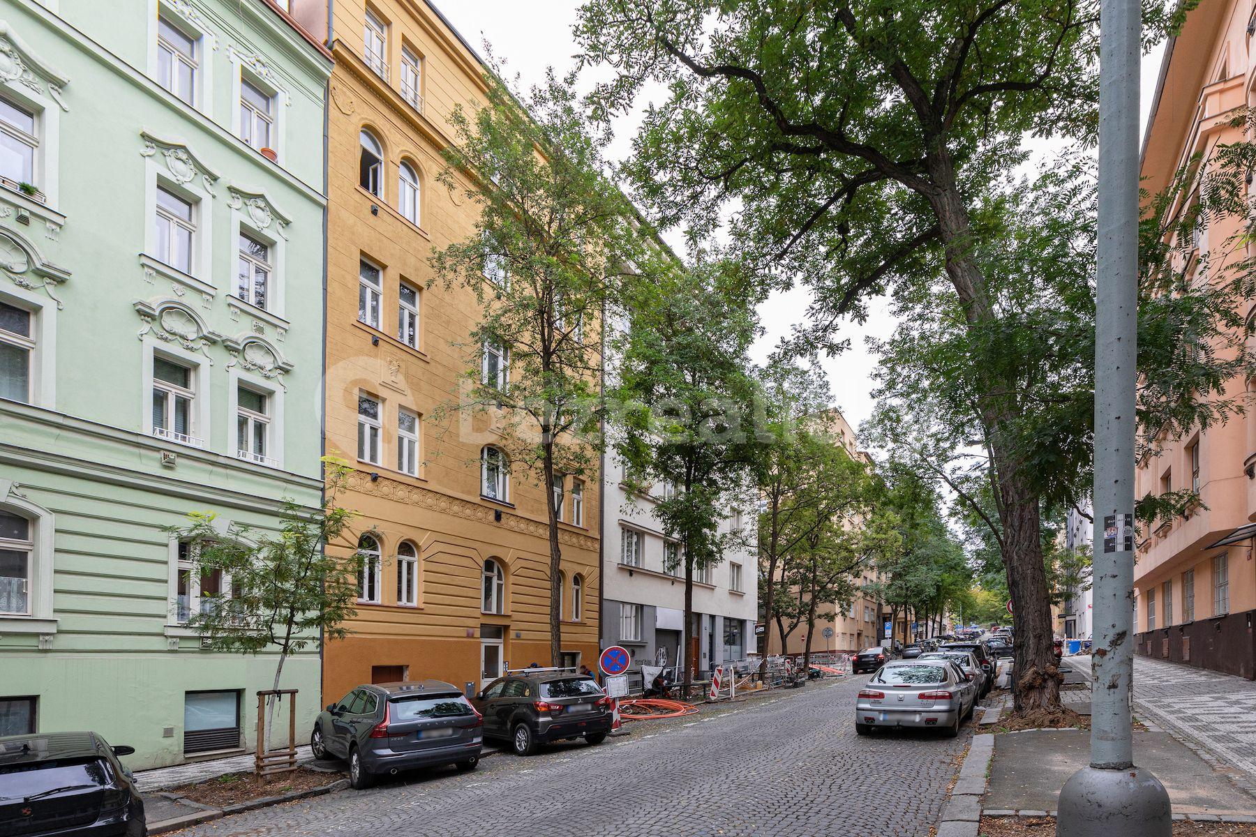 1 bedroom with open-plan kitchen flat for sale, 57 m², Hájkova, Prague, Prague