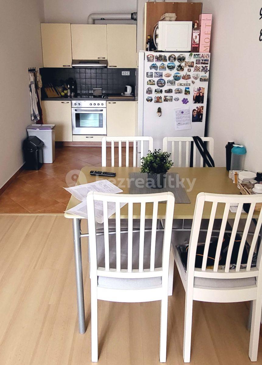 1 bedroom with open-plan kitchen flat to rent, 57 m², Plzeňská, Prague, Prague