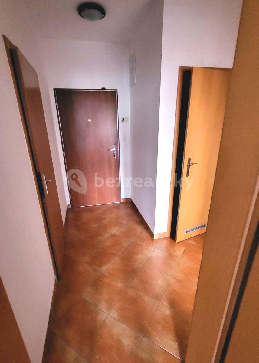 1 bedroom with open-plan kitchen flat to rent, 57 m², Plzeňská, Prague, Prague