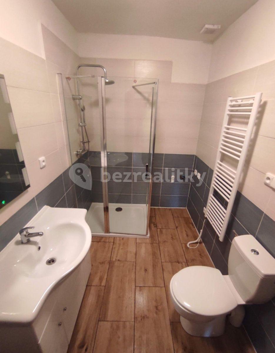 1 bedroom with open-plan kitchen flat to rent, 40 m², Chrudimská, Seč, Pardubický Region