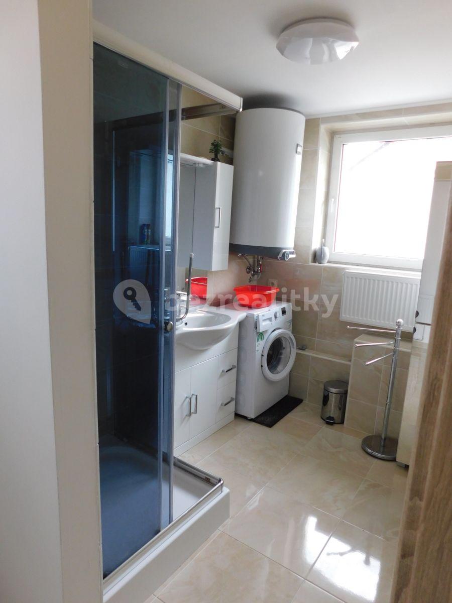 1 bedroom with open-plan kitchen flat to rent, 70 m², Vlkanovská, Prague, Prague