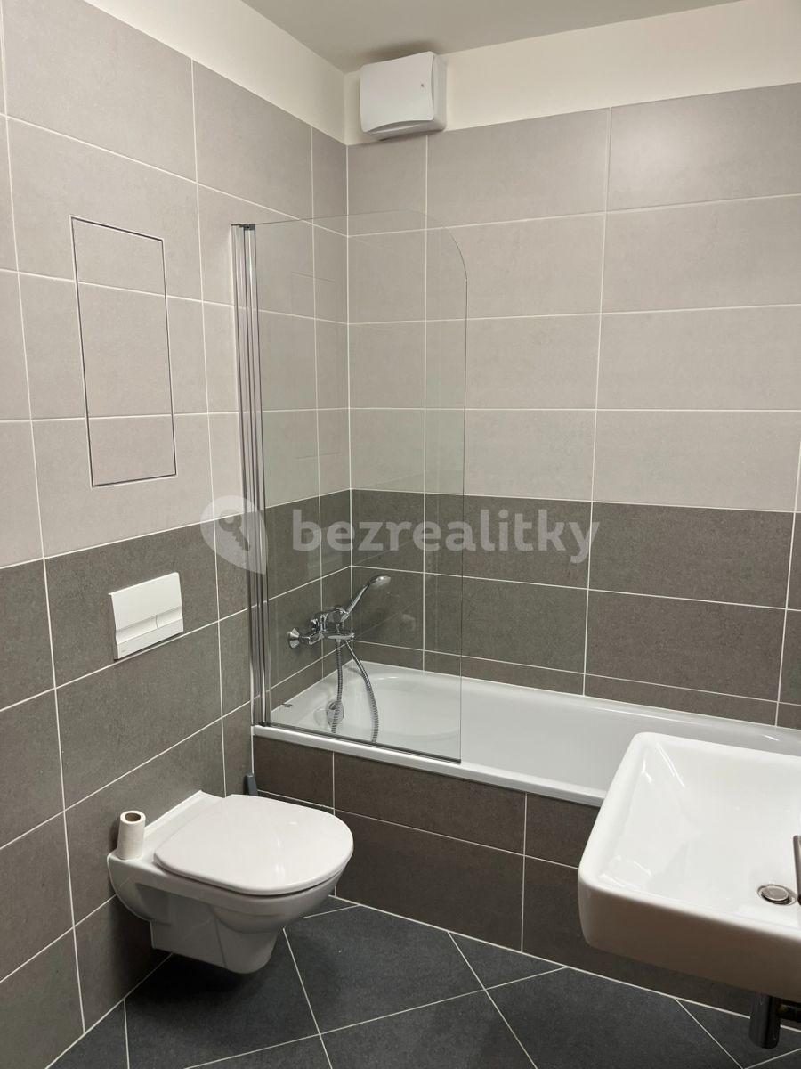 2 bedroom with open-plan kitchen flat to rent, 55 m², Pod Harfou, Prague, Prague