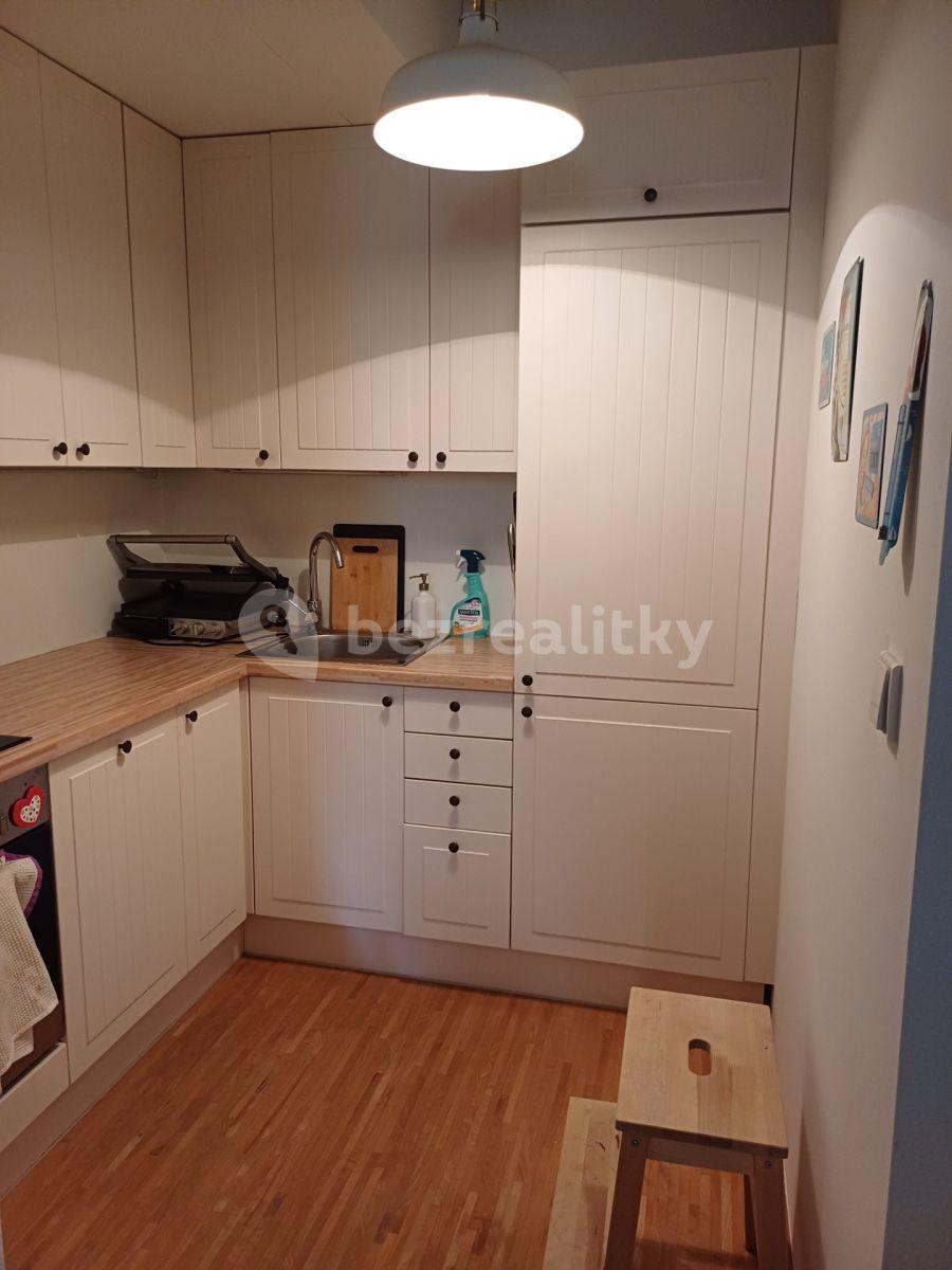 1 bedroom with open-plan kitchen flat to rent, 40 m², U Libeňského pivovaru, Prague, Prague